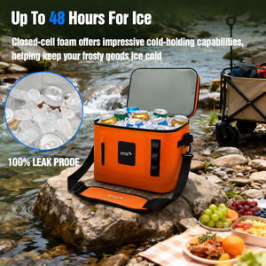 حقيبة تبريد ناعمة عالية الجودة معزولة ومقاومة للماء من مادة TPU مع حزام للكتف للشاطئ والمشروبات والغداء - Product Image 3