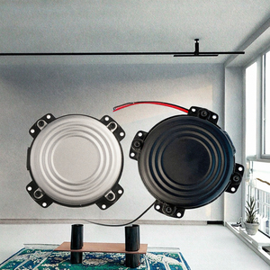 Haut-parleur vibratoire 30W 4ohm, basses fréquences, amplificateur de basses, caisson de basses portable, système de haut-parleurs Hi-Fi pour siège de voiture, scène, cinéma maison - Product Image 2