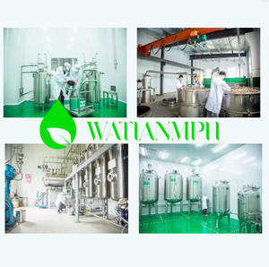 Commercio all'ingrosso di mentolo di cristallo di mentolo in polvere per deodorante naturale estratto vegetale di erbe menta in polvere all'ingrosso CAS 89-78-1 - Product Image 6