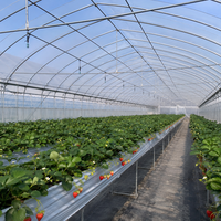 Film de couverture de serre agricole en LDPE, bâche plastique anti-goutte en rouleau pour la culture de tomates, concombres et poivrons