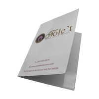 Carpeta de Presentación de Papel para Portafolio de Artista, con Logotipo Personalizado Elegante y Colorido, Impresión UV, para Promoción Empresarial, con Bolsillos y Galerías