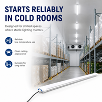 Éclairage linéaire LED Tri-Proof pour entrepôts frigorifiques, IP65, en aluminium, puissance 20-60W, gradation DALI 0/1-10V, pour températures négatives de -25 degrés