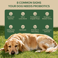 Prix d'usine – Comprimés probiotiques naturels pour chiens, saveur canard – Équilibre intestinal, confort cutané, soutien immunitaire et digestif – Probiotiques 6 milliards d'UFC