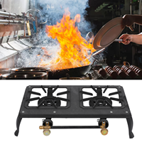 Barbecue extérieur Portable Camp Restaurant Cuisine Poêle Grilles