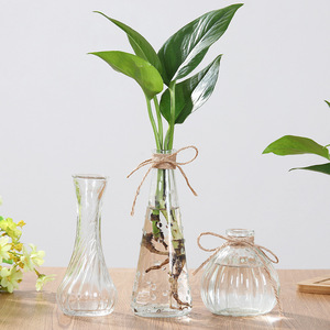 Petit <span class=keywords><strong>vase</strong></span> à fleurs en verre personnalisé bouteille de décoration intérieure en cristal Ins moderne pour fête de mariage <span class=keywords><strong>vase</strong></span> de table transparent en métal design - Product Image 3