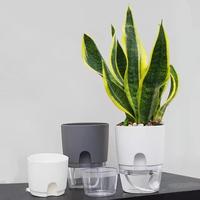 Kits de plantes succulentes d'intérieur Pot de plantes en plastique ABS à double couche avec fond transparent en corde de coton absorbant