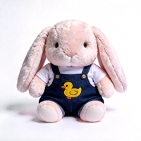 Adorable Peluche Lapin en Tissu Brodé avec Motif Canard, Douce et Moelleuse, Mignonne Poupée Lapin en Peluche avec Tenue de Canard Amovible