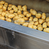 Machine à laver et éplucher pommes de terre, portable, commerciale, pour carottes, gingembre, taro, cassava
