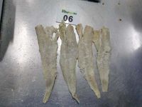Filet de Morue du Pacifique Salée Séchée en Gros, Forme Papillon de Colin Salé