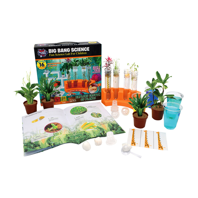 Nature Plants Science Toy DIY Planting