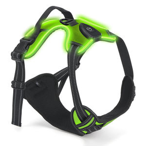 สายรัดหน้าอกสัตว์เลี้ยงป้องกันความปลอดภัยของสุนัขไฟ LED ระบายอากาศได้เสื้อกั๊กไนลอนสายรัดสุนัขแฟชั่นสำหรับเดินกลางแจ้ง - Product Image 1