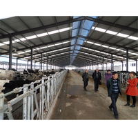 Structure en acier préfabriquée à faible coût pour élevage de chèvres, de moutons, de bétail, conception de hangar, maison à vendre