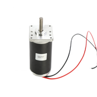 Moteur à balais avec Micro aimant Permanent, 36 V, 24V, cc, moteur électrique à courant continu