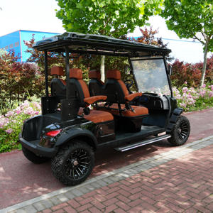 Spring 2026 LSV Street 4 Seater Golf Cart DOT/CE/FMVSS 500 Certified 72V Lithium 25MPH Low Speed Vehicle <b>70</b>-90km Minibu - Product Image 3