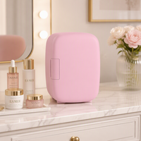 Mini-réfrigérateur de nouvelle conception, réfrigérateur à maquillage 4L pour boissons (6 canettes) et soins de la peau, petit réfrigérateur de beauté