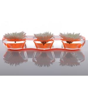 Lucite Neon Tamarin Bowl Em Laranja Acrílico Mini Buquês Flores Secas Pea Pod Shaped Display Bowl - Product Image 3