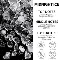 Diffuseur de parfum pour voiture suspendu, senteur Midnight Ice, longue durée, éliminateur d'odeurs, pour l'intérieur de la voiture