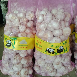 Tỏi Đỏ Chất Lượng Cao 5-6Cm Giá Xuất Khẩu Màu Trắng Bình Thường - Product Image 4