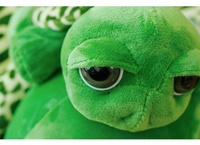 Peluche tortue aux grands yeux, petite poupée, oreiller de sommeil avec rembourrage en coton PP