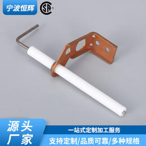 Sensor de llama con electrodo de encendido 7975-3881, pieza de repuesto de acero inoxidable para estufas de gas, accesorios para chimeneas - Product Image 2