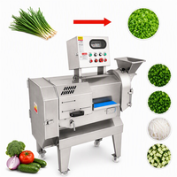 Compacte fruit- en groentesnijmachine met messen voor het snijden en raspen van selderij, peterselie, prei, groene ui en komkommer