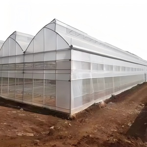 Invernadero Tipo Túnel Pequeño de un Solo Tramo, Diseño Plegable, Película de PE Transparente Estable, Fácil Montaje, Cultivo de <span class=keywords><strong>Remolacha</strong></span> por Temporada - Product Image 5