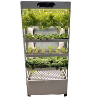 Système de culture hydroponique verticale, 2 pièces, serre agricole, prix de plantation à l'intérieur
