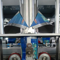 Máquina automática de embalaje para pesar carbón vegetal, precio de China