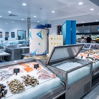 Générateur de glace en acier inoxydable, évaporateur 1000kg 500kg 2t, machine à glace en flocons pour la transformation alimentaire