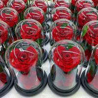 Meilleure Vente : Rose Éternelle Réaliste Faite à la Main pour la Saint-Valentin, la Fête des Mères, Thanksgiving, la Remise des Diplômes, Pâques – Rose Préservée pour Toujours
