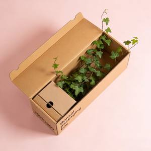 Caja <span class=keywords><strong>de</strong></span> Transporte para Bonsáis con Protección Reforzada a <span class=keywords><strong>Precio</strong></span> <span class=keywords><strong>de</strong></span> Fábrica, Caja <span class=keywords><strong>de</strong></span> Transporte para Exhibición <span class=keywords><strong>de</strong></span> Plantas y Flores, Caja <span class=keywords><strong>de</strong></span> Envío para Plantas en Maceta - Product Image 1