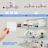 Module d'interrupteur sans fil étanche SIXWGH RF 433Mhz pour éclairage LED et lampes, contrôleur mural à distance domestique 2 canaux 10A 110V-220V