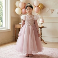 Robe longue de princesse rose pour enfants avec manches longues et tissu transparent, robe de soirée, robe de fête d'anniversaire, ensemble de robes pour filles