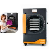 110V/220V 4-6kg per batch kleine commerciële automatische vriesdroger voor thuisgebruik met 5 trays, 1 jaar garantie voor fruitverwerking