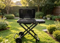 Chariot de barbecue au propane pliable avec 2 roues, station de cuisson extérieure légère en aluminium