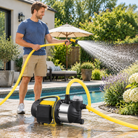Pompe à eau de surface auto-amorçante portable 900W avec tête en acier inoxydable pour l'irrigation de jardin et le transfert d'eau