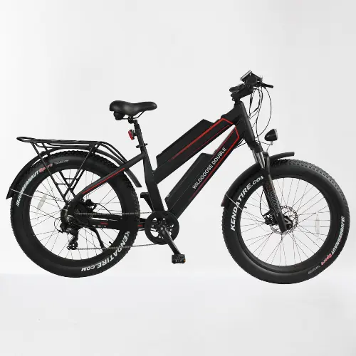 전기 지방 타이어 산악 자전거 듀얼 배터리 전기 산 Ebike