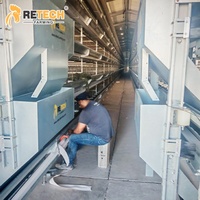 Cages automatiques galvanisées plongées chaudes de batterie d'équipement d'élevage de poulet pour 15000 couches