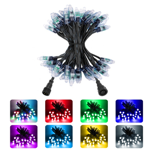 Dc12v 12 mét ws2811 điểm ảnh nút dây màu đen IP68 Bullet <span class=keywords><strong>LED</strong></span> Pixel đèn - Product Image 5