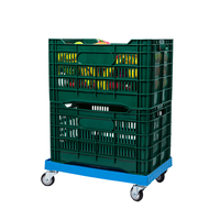 Chariot en gros Chariot à plate-forme d'outils en plastique à chargement élevé Option de conception à quatre roues durable et légère