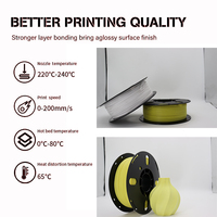 Filament PETG pour imprimante 3D PRINTROO, lot double, 1 kg/rouleau, finition mate, plusieurs options de couleurs, pièce d'affichage en plastique