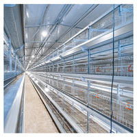 Nouvel équipement d'élevage avicole en acier galvanisé de type H, poulailler pour poulettes et jeunes poulets avec une longue durée de vie