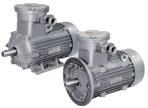 IE2 B3 Low Voltage Cast <b>Iron</b> 2P 3000RPM 0.75kw 1.1KW 1.5KW .2.2KW 3KW 4KW 380v 50HZ Three-Phase AC Induction Motor YE2 Three-pha - Product Image 3
