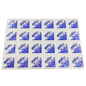 Gel băng gói bán buôn tùy chỉnh tái sử dụng gel khô băng gói cho vận chuyển, vận chuyển lạnh gói - Product Image 6