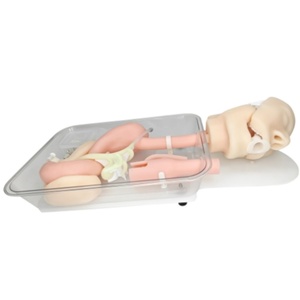 Một nội soi Chất lượng cao mới cho mô hình đào tạo <span class=keywords><strong>ercp</strong></span> của duodenoscopy - Product Image 4