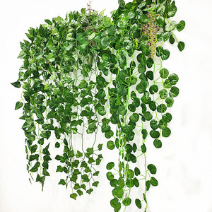 نبات عنكبوت صناعي pothos لتزيين الحائط، نبات راتان صناعي، نبات بيجونيا، قبعات ivy النباتية الصناعية - Product Image 2