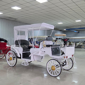 Voiture de tourisme électrique 2026, nouveau design, 4 roues, chariot de chevaux vintage pour parcs, stations balnéaires, mariages et événements - Product Image 6