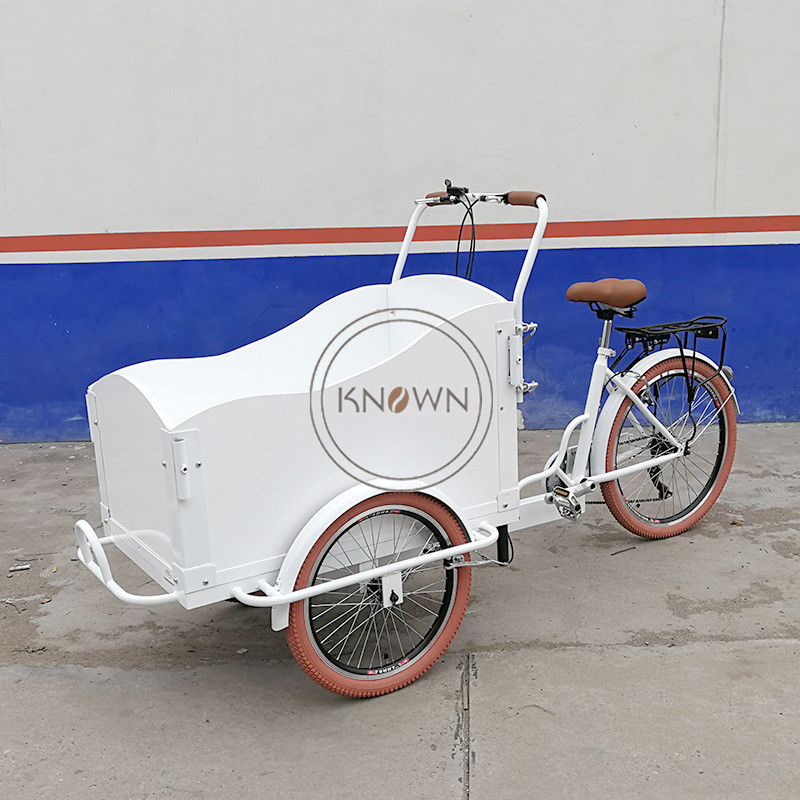 2024ヨーロピアンスタイル電動三輪車大人用カーゴバイク高品質