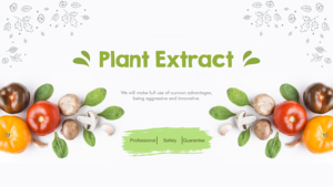 Compléments de fertilité à marque privée OEM, équilibre hormonal, myo-inositol, vitamines prénatales, gommes de fertilité pour femmes - Product Image 6