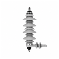 Parafoudre à oxyde de zinc sans interstice YH10W-11 10kV 11kV à boîtier polymère pour distribution